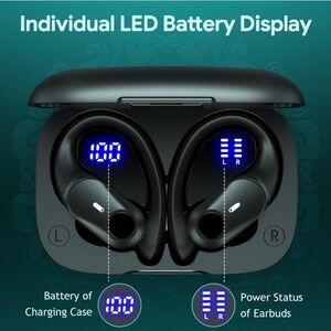 Golrex wireless earbuds NIB